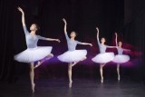 Ballet A01